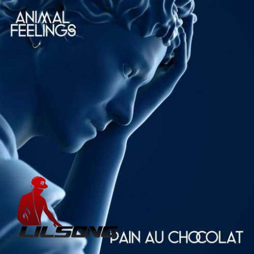Animal Feelings - Pain Au Chocolat